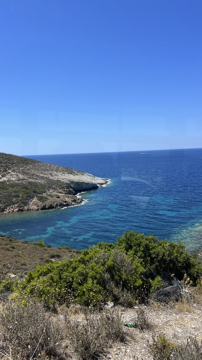 Niloofar Malaiee tweet media