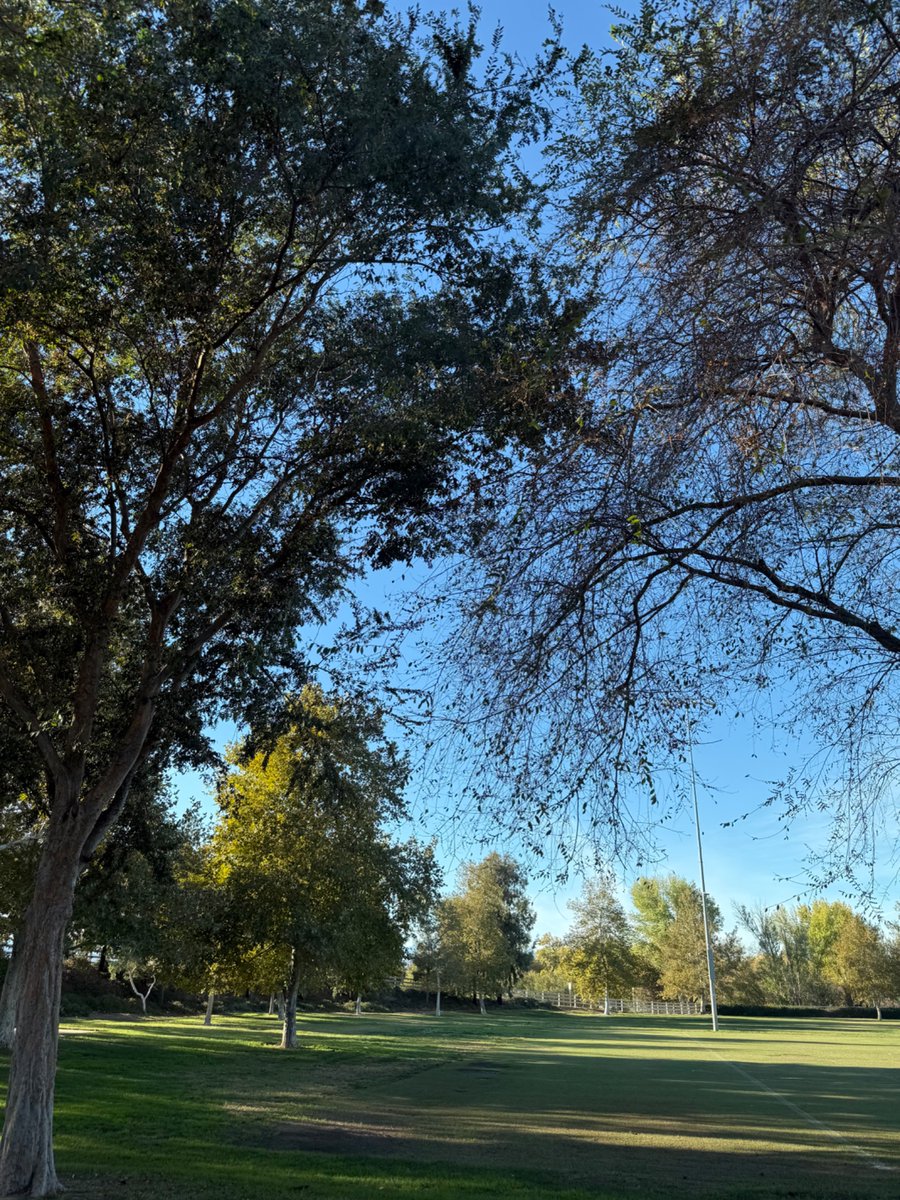 Walks help inspire me with ideas for writing/marketing.
What helps you?

#WritingCommunity