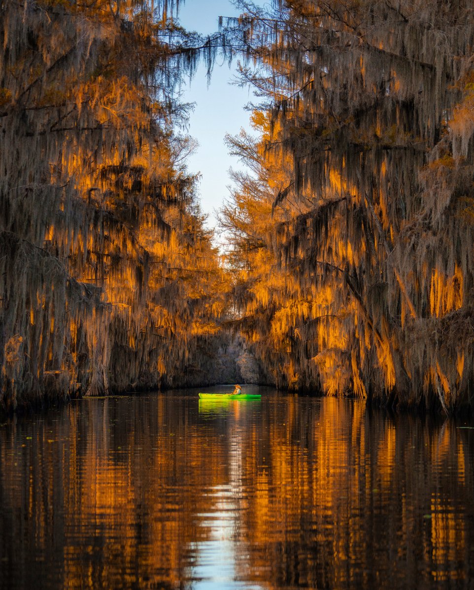 Would y’all believe me if I told you I took these photos in Texas?