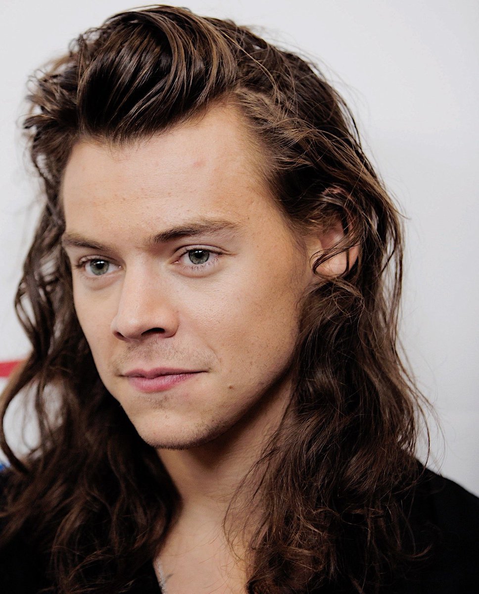 Harry Styles in the long hair era was breathtaking