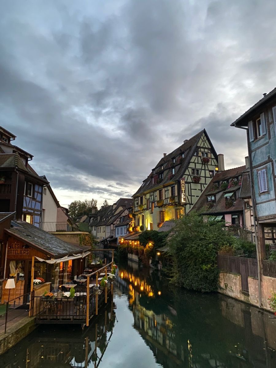 افراح tweet media