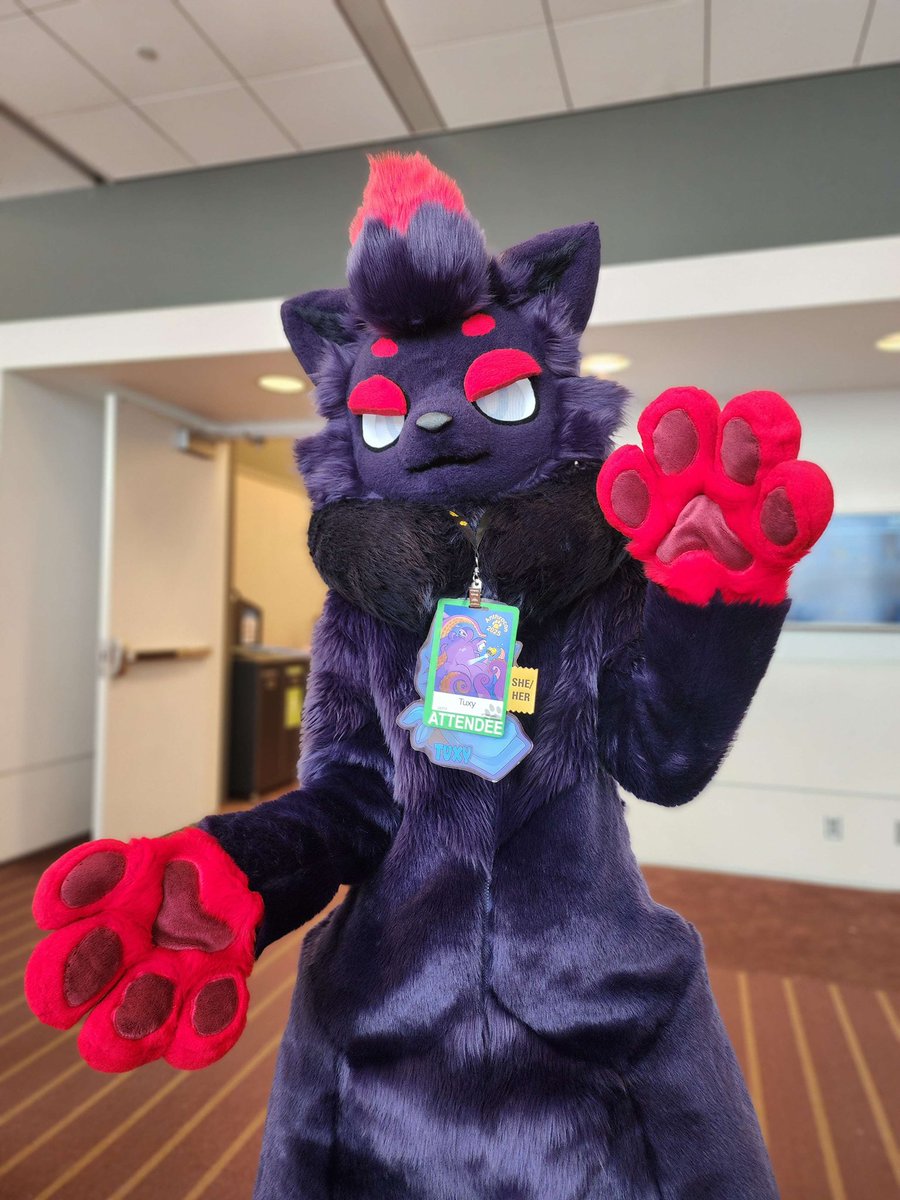 I’ll be at NYFB2026! Who will I be seeing there?