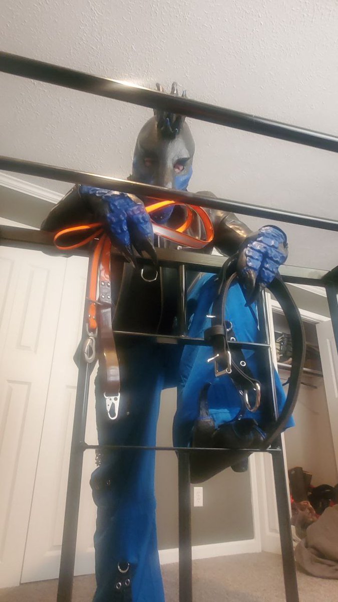 Defect Raptor tweet media