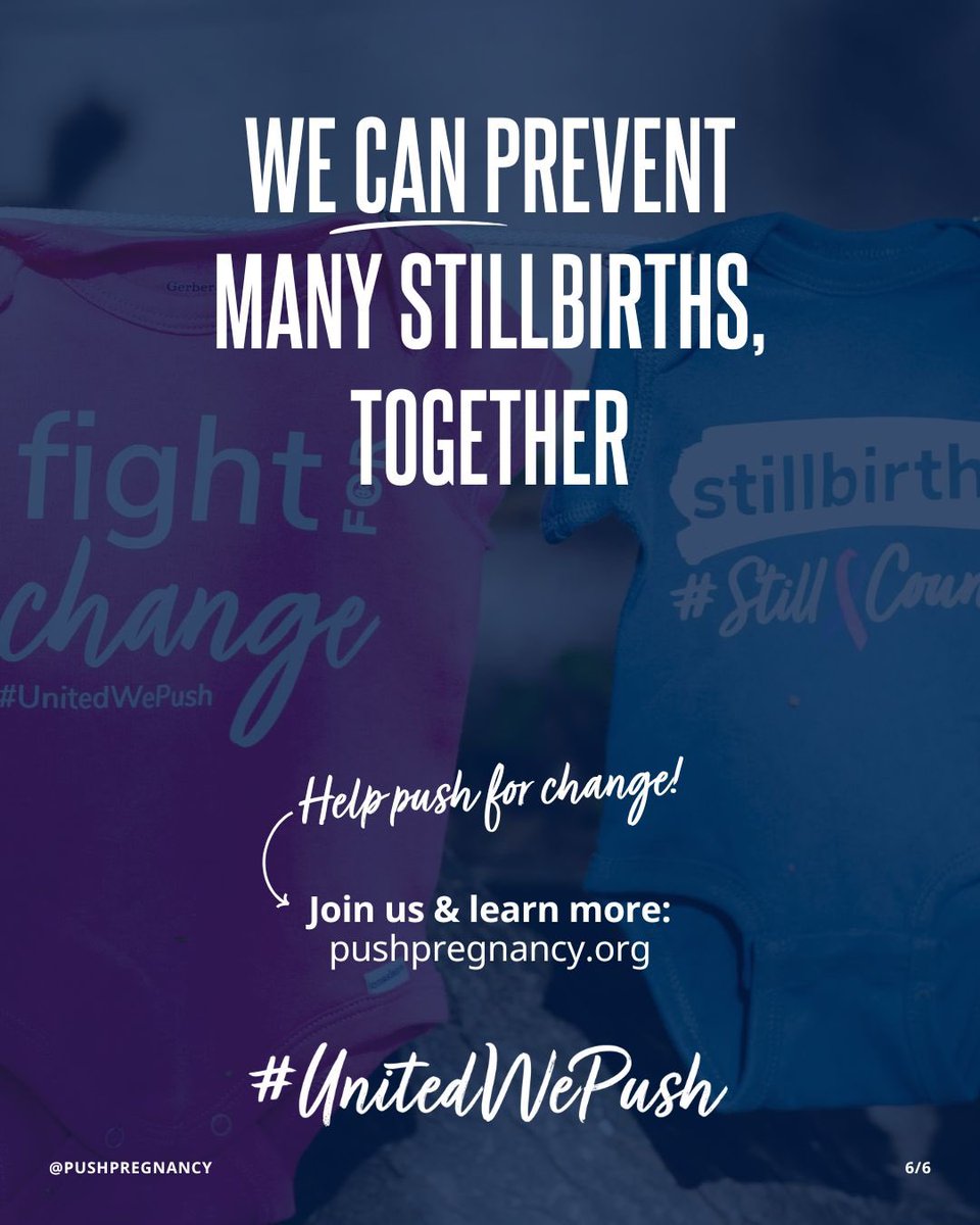 PUSH for Empowered Pregnancy tweet media