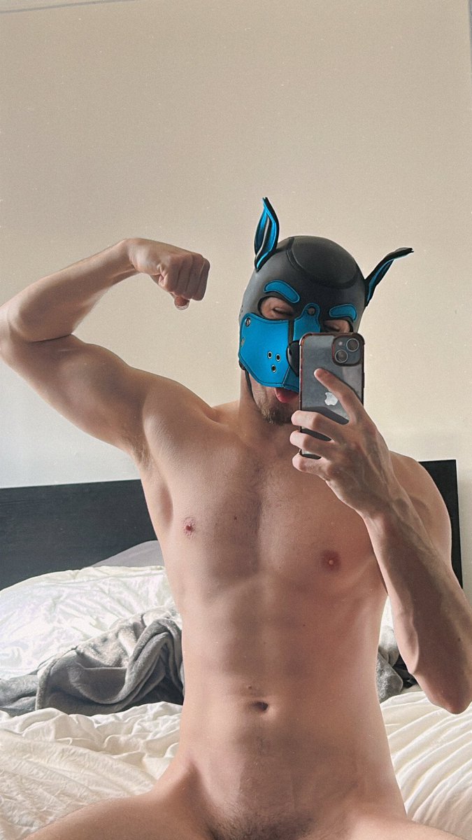 Scott Pitou tweet media