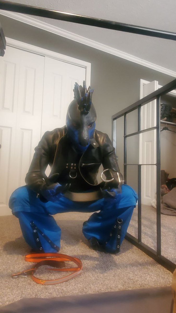 Defect Raptor tweet media