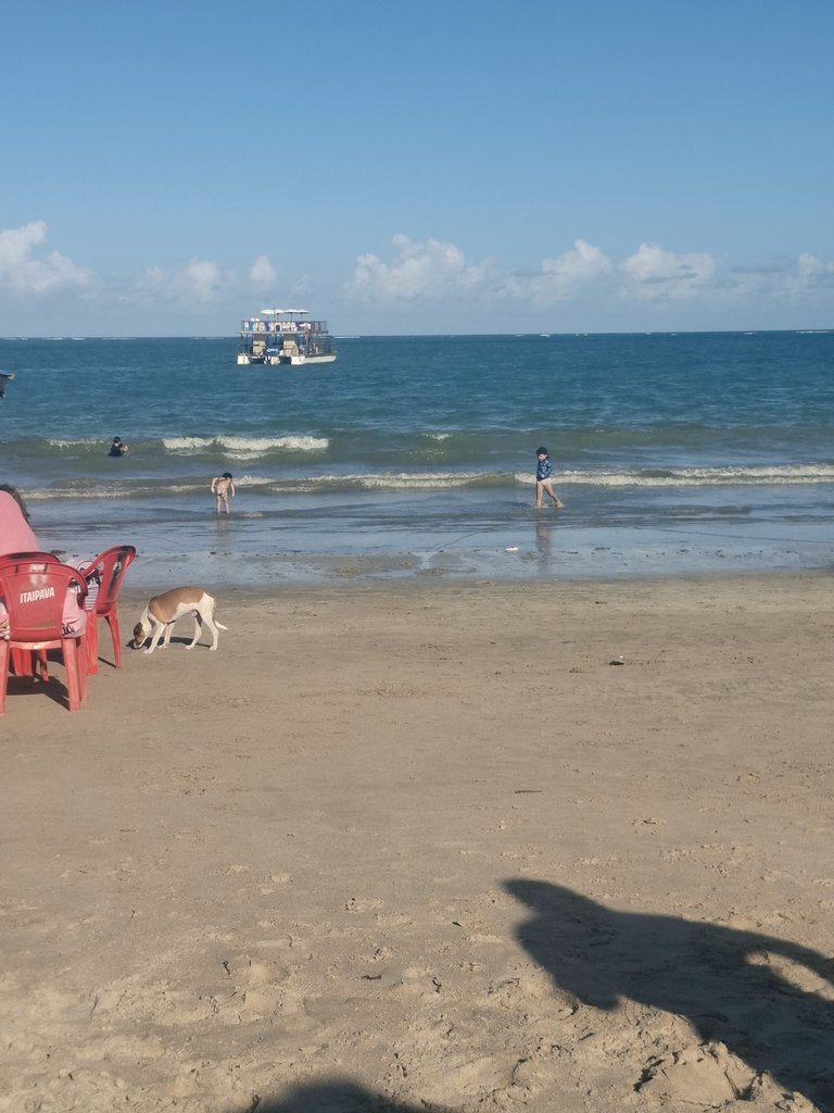 A gente tá vivendo tanto nestes últimos dias, que eu até esqueço de tirar foto...
