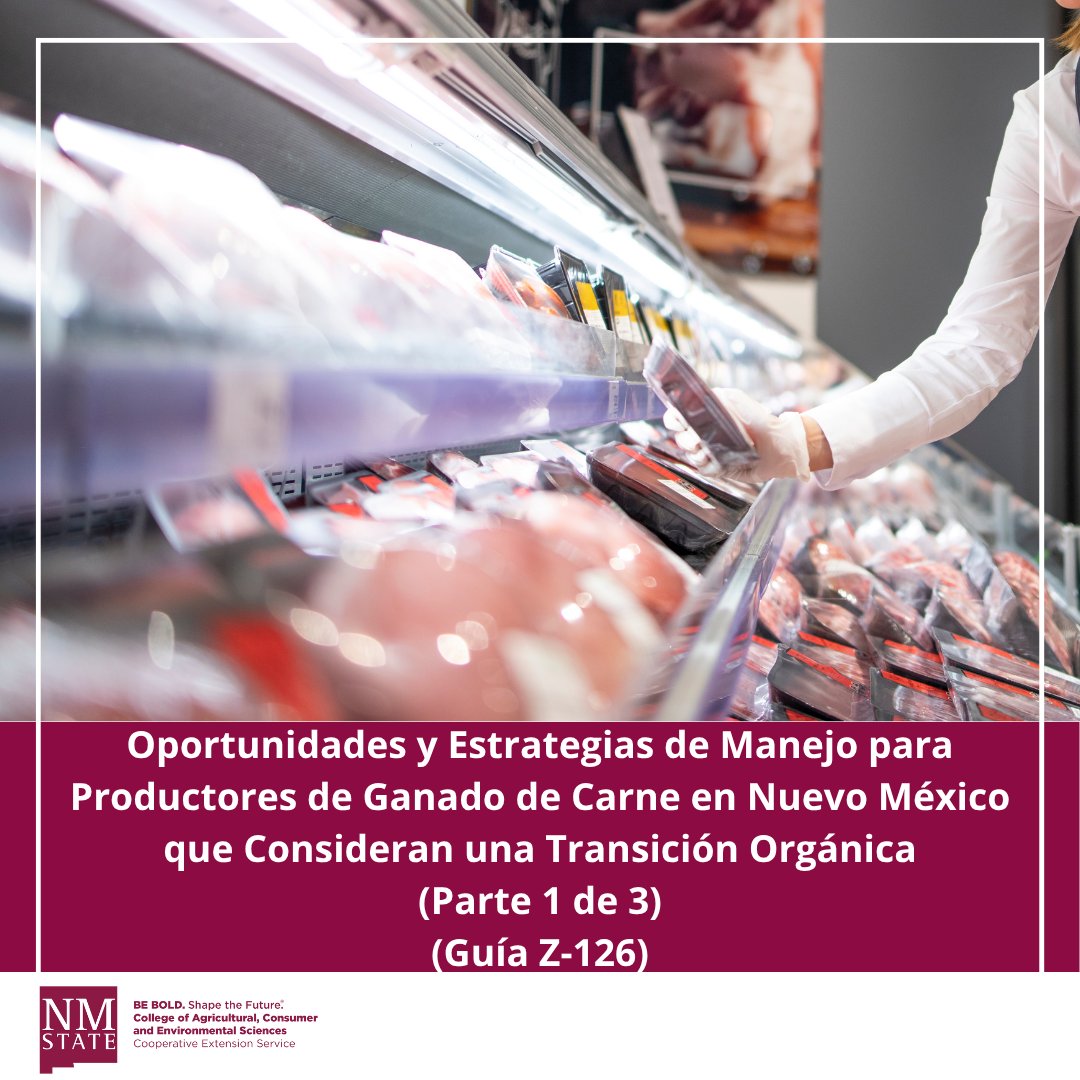 NMExtensionPubs's tweet image. ¿Eres productor de #carne vacuna considerando una transición #orgánica? Esta guía puede ayudarle a comenzar: pubs.nmsu.edu/_z/Z126_Spanis… ¡Ahora disponible en español!

#Ganado #Carne #Agricultura #NMSU #NuevoMexico #NMSUExtension