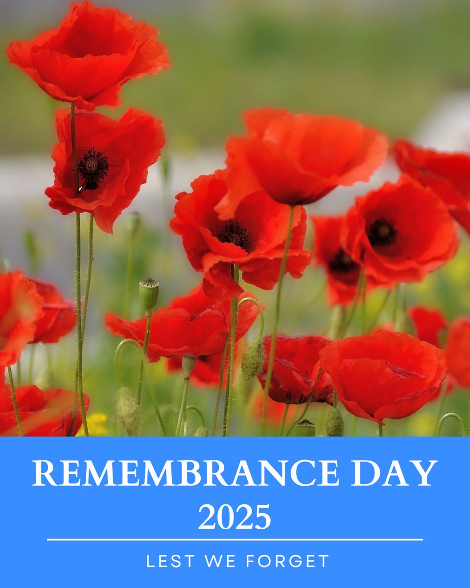 At the 11th hour on the 11th day of the 11th month in 1918, the guns fell silent on the Western Front.

Germany surrendered unconditionally and signed the Armistice, ending four years of bloodshed.

Tens of millions died in the Great War. It was supposed to be the war that would