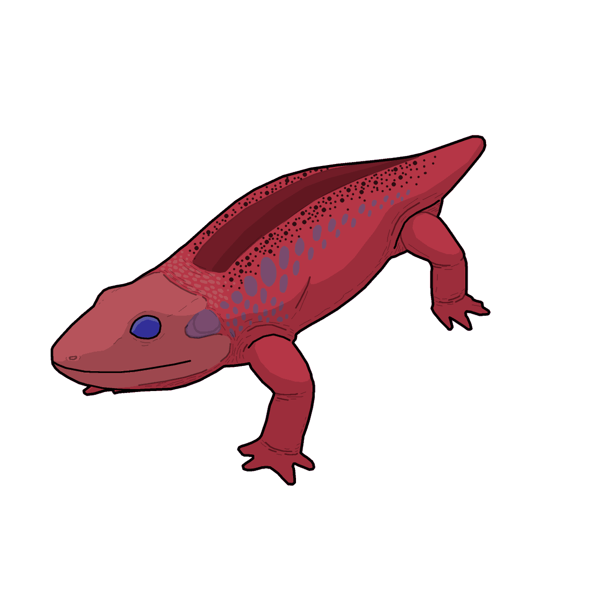 BVisigodo's tweet photo. #temnovember2025 day 10: Conjunctio
We return to #temnovember with a little guy, #Conjunctio, a small #dissorophid from lower permian on New Mexico. Also its name soounds really close to spell in spanish, so Magic Frog;)
#paleoart #sciart #temnospondyl #amphibian #permic https://t.co/FPAilTpPzc