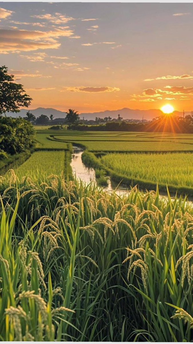 ParthYadav65425's tweet image. Alarm baja: &quot;Uth ja Parth&quot; Main: &quot;5 min aur&quot; Ab 5:02 AM ho gaye 😂 Kaun relate kar raha hai? 😴 #DesiProblems #Relatable #Trending #MorningVibe