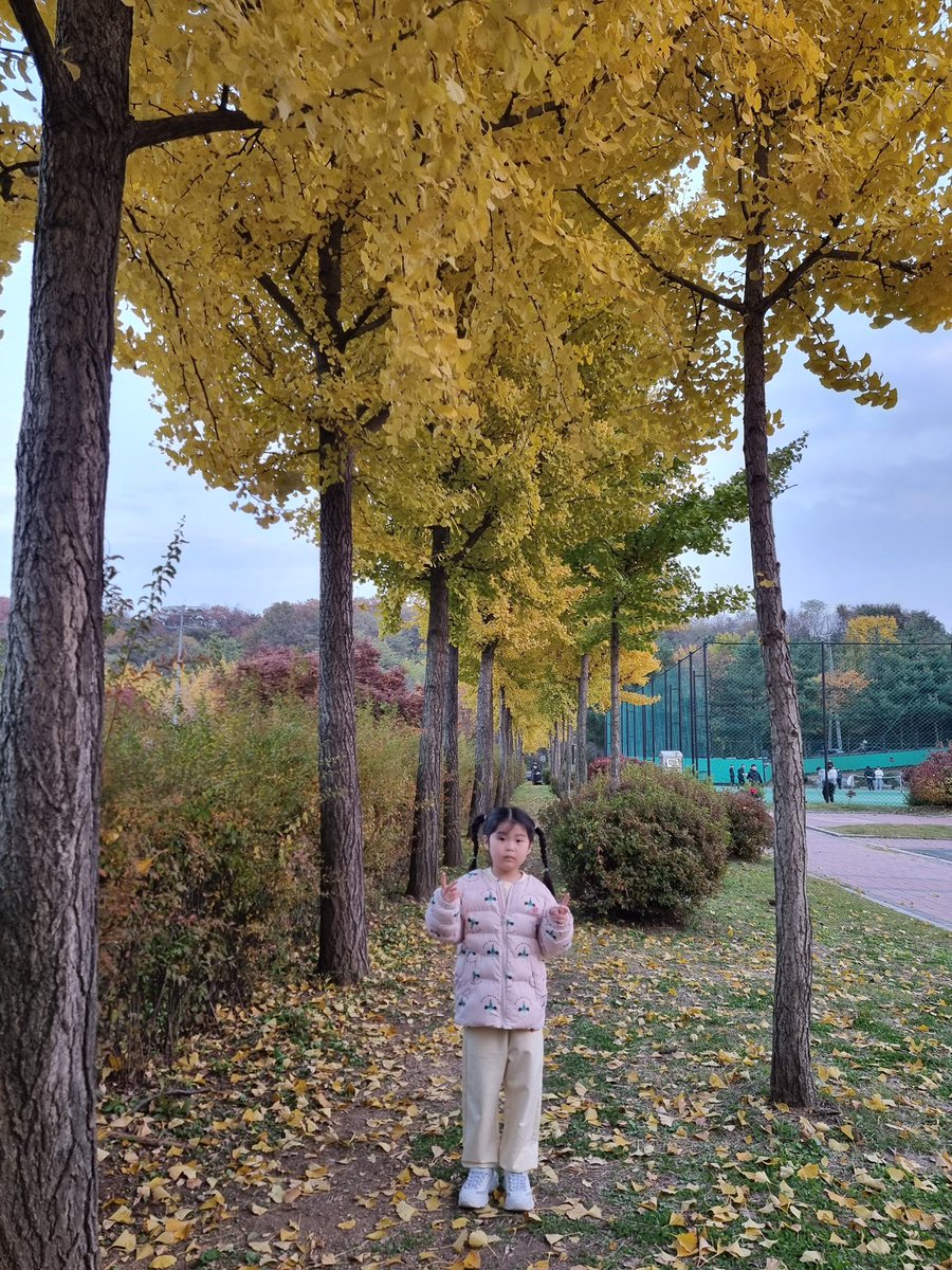 igwang's tweet photo. Fall is here in Korea https://t.co/rqL38aldcA
