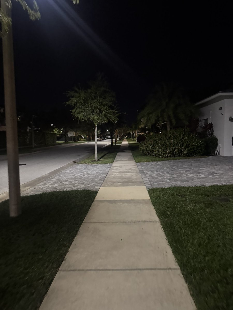 This is heaven. Bring me the bunnies