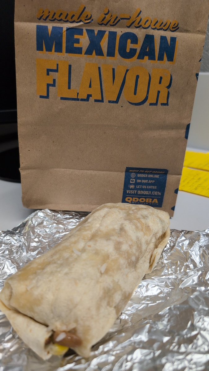 This is the smallest <a href="/qdoba/">QDOBA</a> burrito I've ever seen. Sad.
