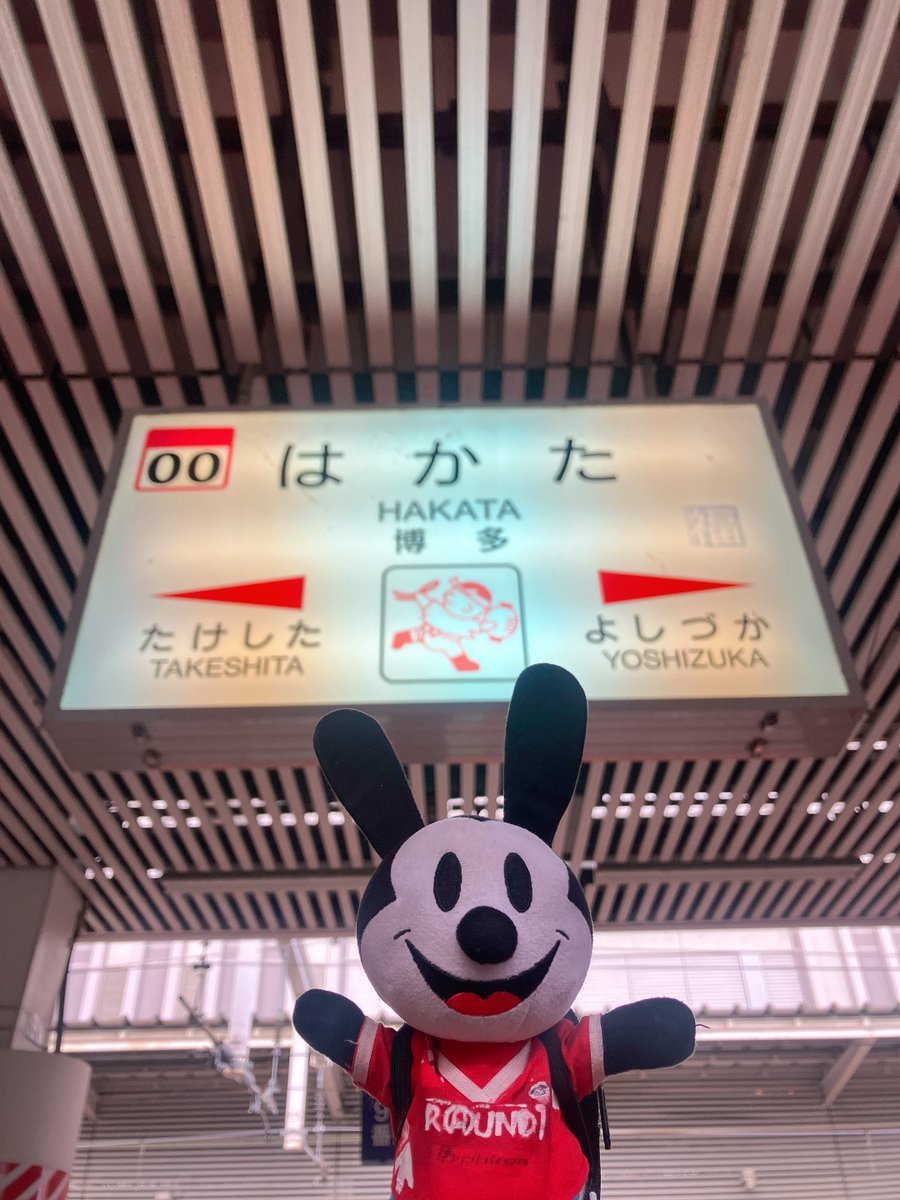 らいおんさん (@Lion_cage) / Posts / X