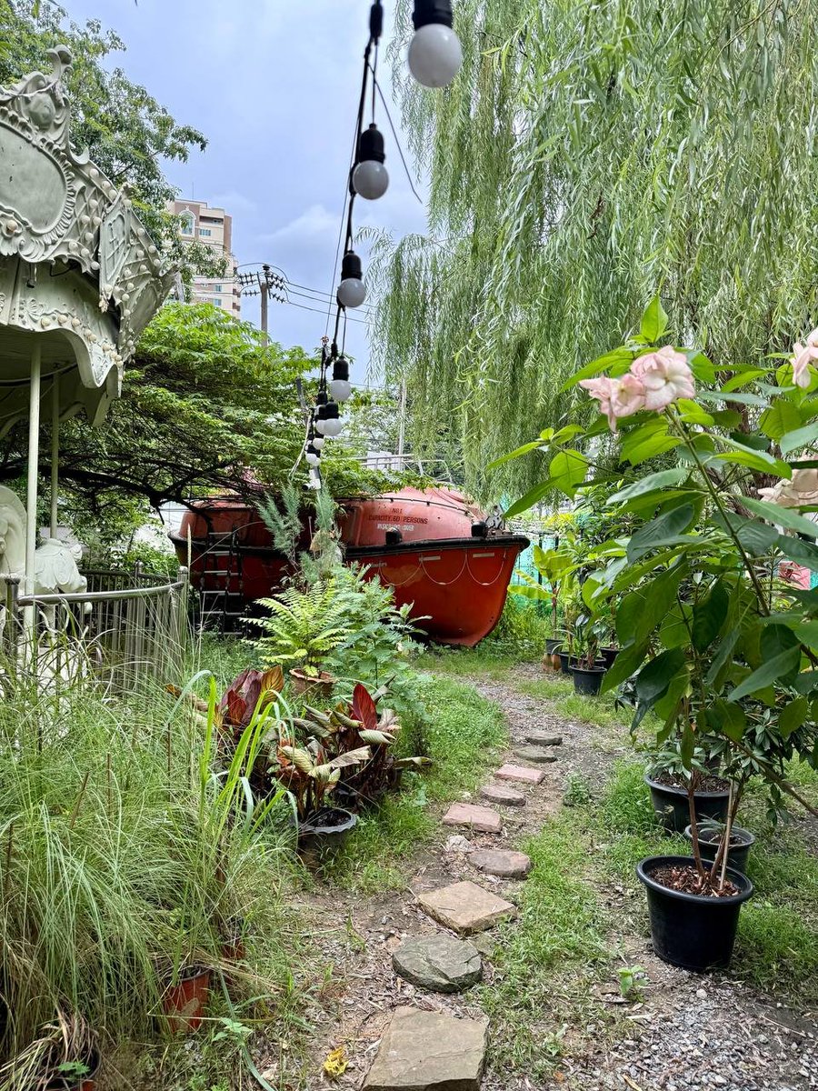 Elara99889's tweet photo. Surrounded by nature’s beauty and endless greenery 🌿✨ finding peace and inspiration in every leaf. #GardenVibes #NatureLover #GreenEscape #PlantLover #UrbanGarden https://t.co/WNU1Qa2CNg
