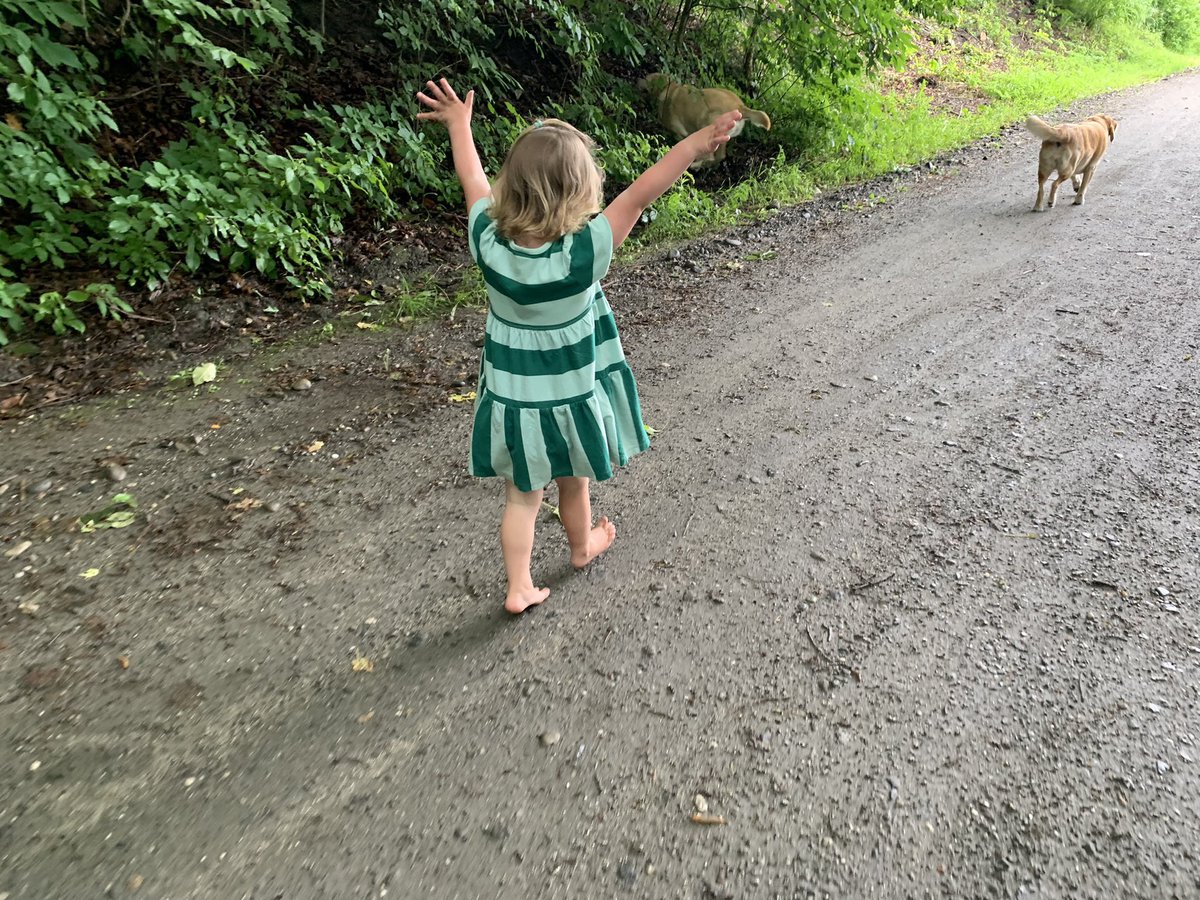 If you are reading this, you have access to more resources and information than nearly anyone in history. 

Your ability to shape reality is unprecedented. 

Never forget that.