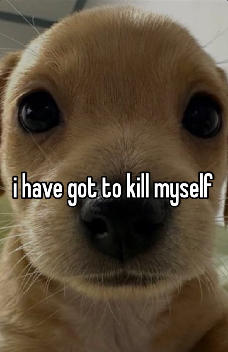 Gamer_Gunker's tweet image. Test tomorrow. Not prepared at all. Too exhausted to get any real study done. Saddening !