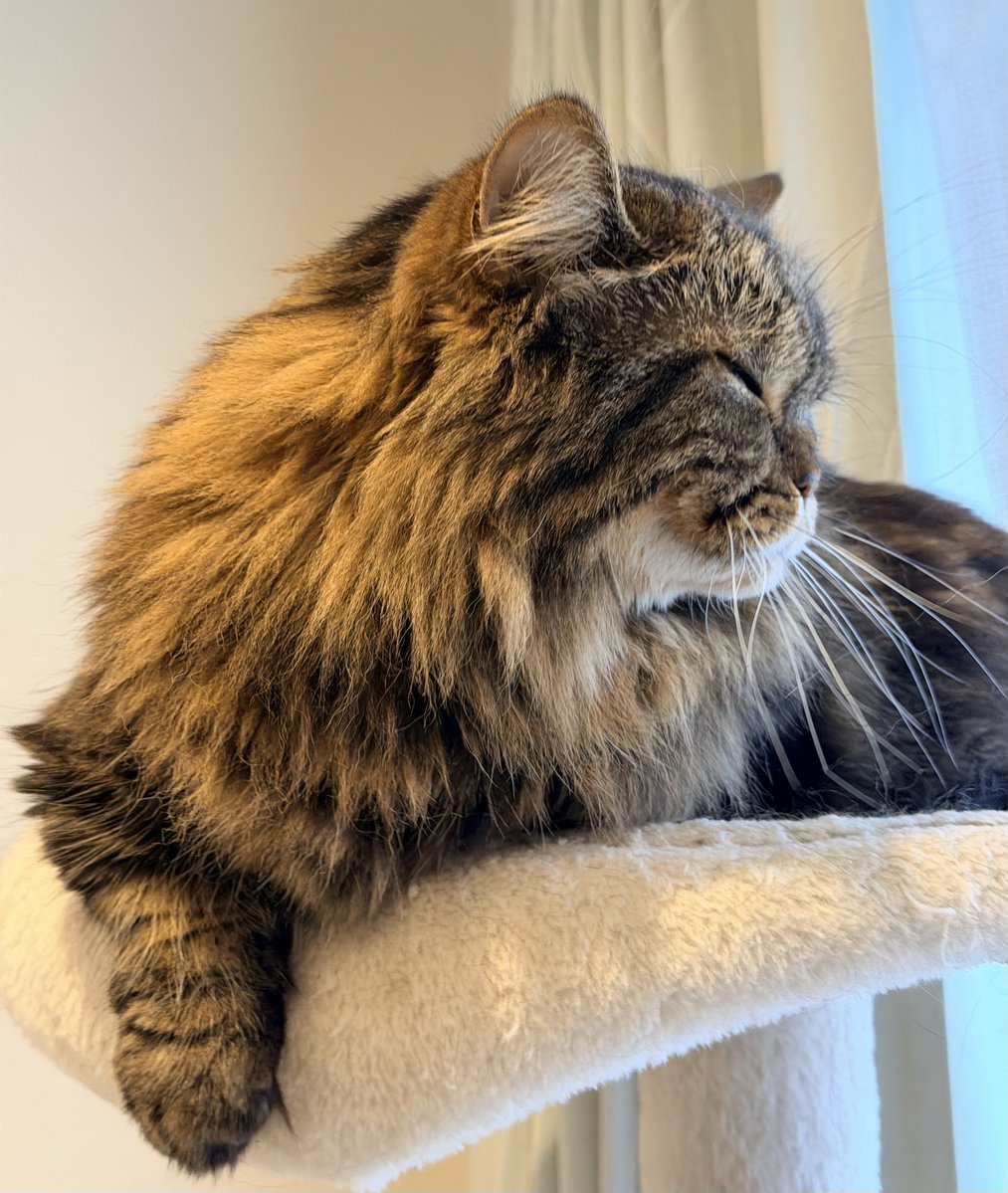 眠くてショボショボ
おはようございます🌱