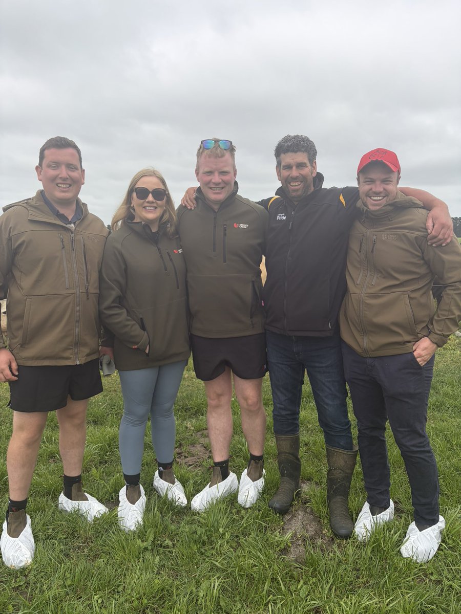 Patrick Horgan tweet media