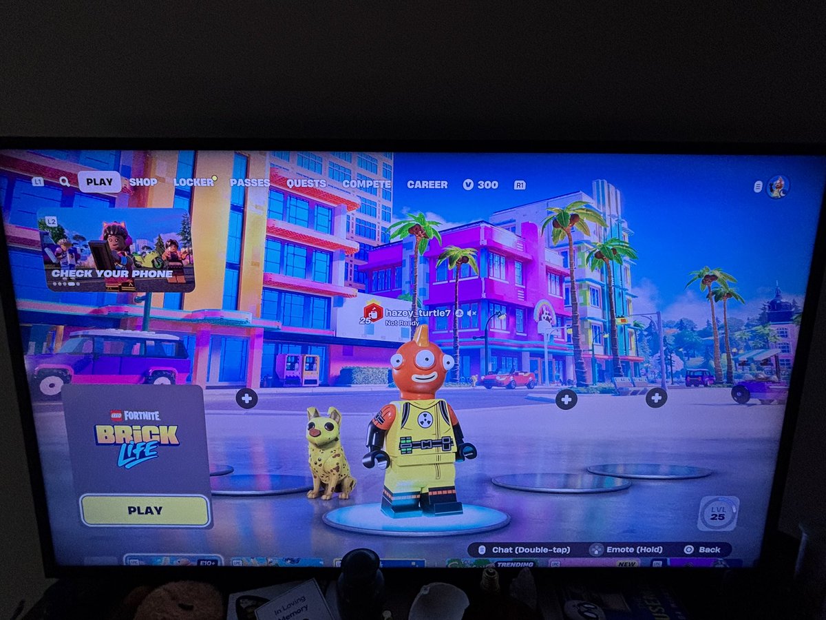 How Fortnite went today..first and second match…leveled up to 20 then moved to Lego for fun. That shit lit!