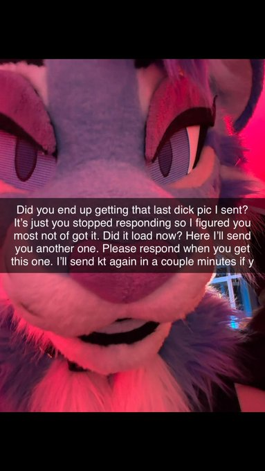 Kivvy Cat! tweet media