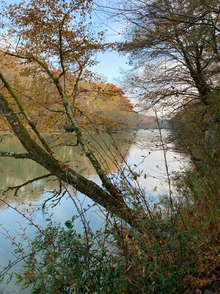 aaronpitters's tweet image. A few shots while out #hiking this weekend before hell froze over this morning.