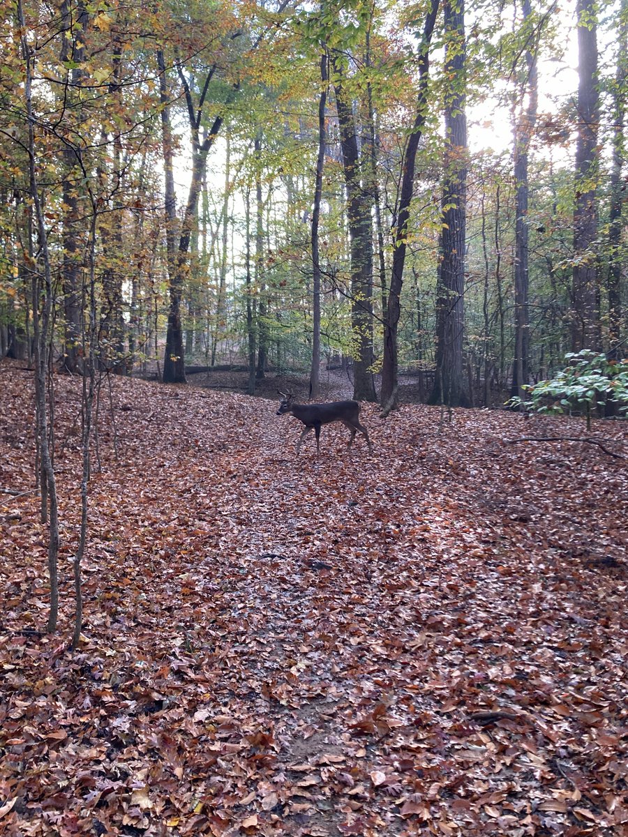 aaronpitters's tweet image. A few shots while out #hiking this weekend before hell froze over this morning.