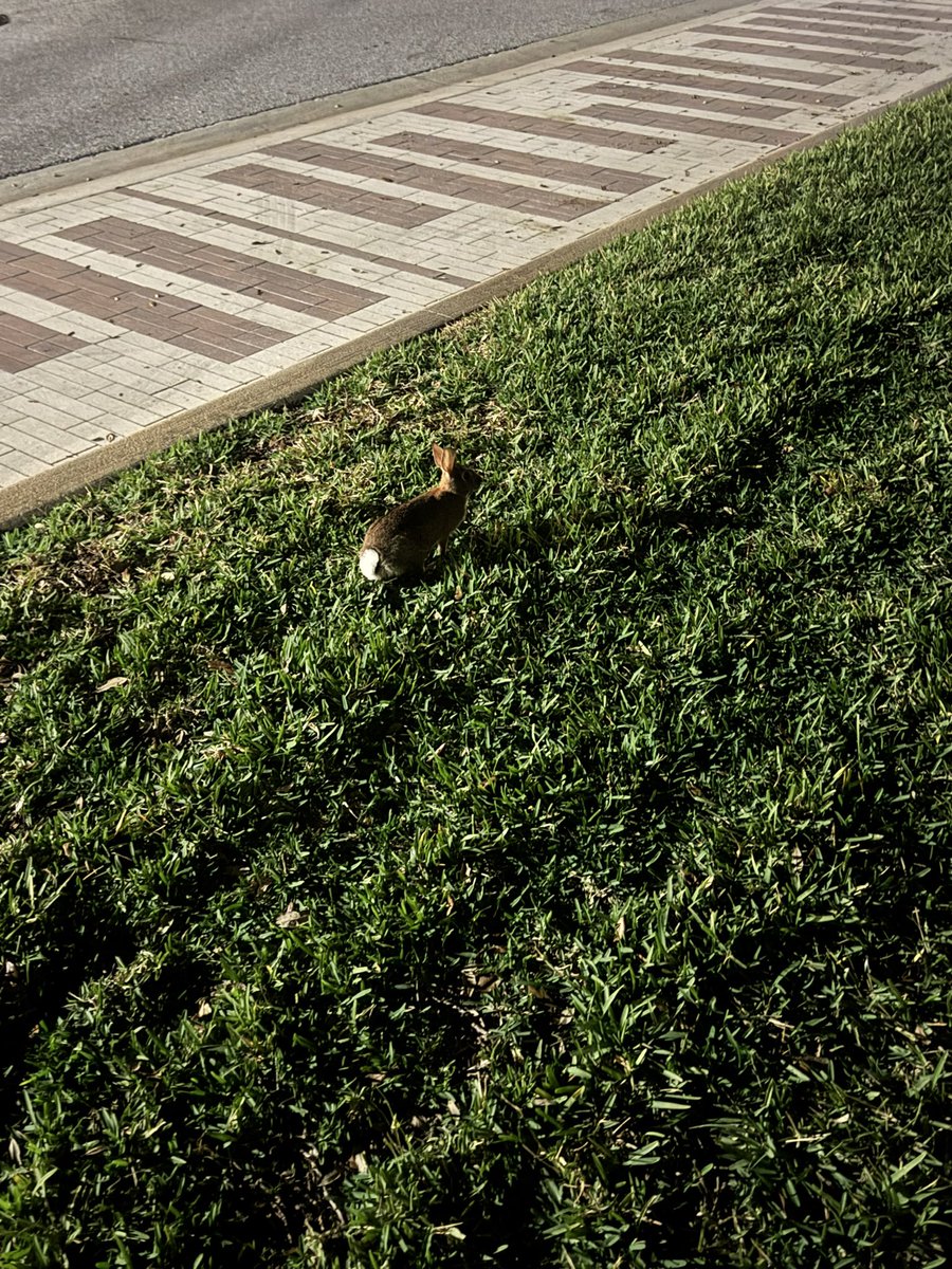 pobin (@pobin0303) on Twitter photo 