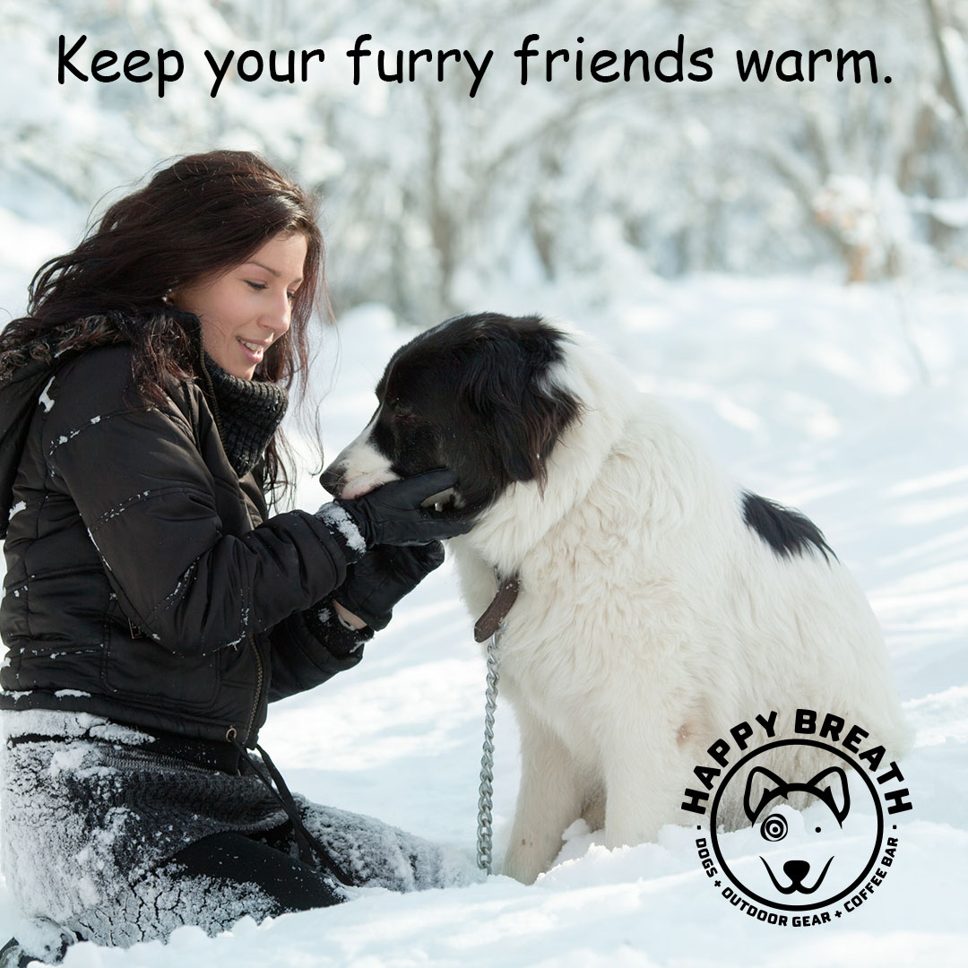🐾❄️ With tonight’s temperatures dropping, remember to keep your furry friends warm and safe! Ensure they have a cozy, sheltered spot and consider bringing them indoors if possible. happybreath.com

Stay warm and treat your pups with extra love today! ❤️🐶

#DogSafety
