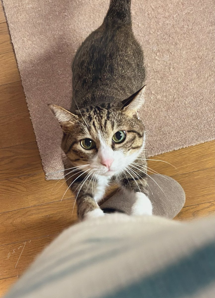 陽菜(またの名をmay) (@hinagi0315) / Posts / X