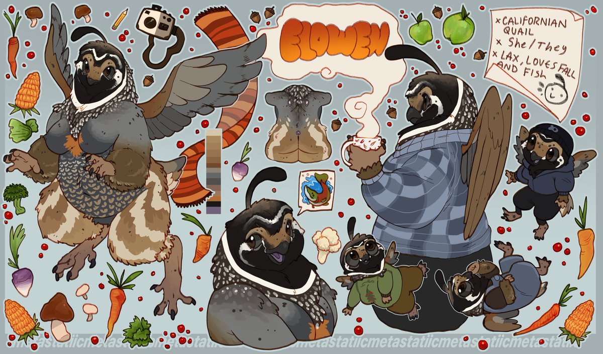 a fall friend! 🍁🪶