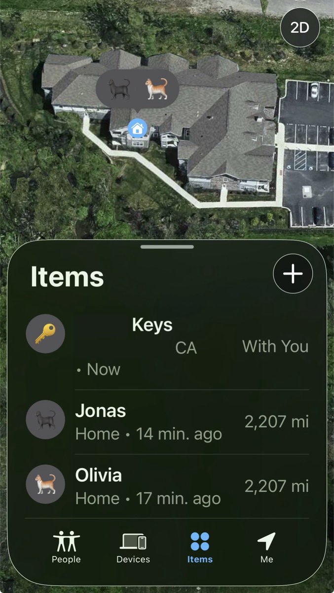 Taking comfort that my two fur children are together safe at home rn &amp; we now have a new better home to come to across the country in a few weeks 🐈❤️🐈‍⬛