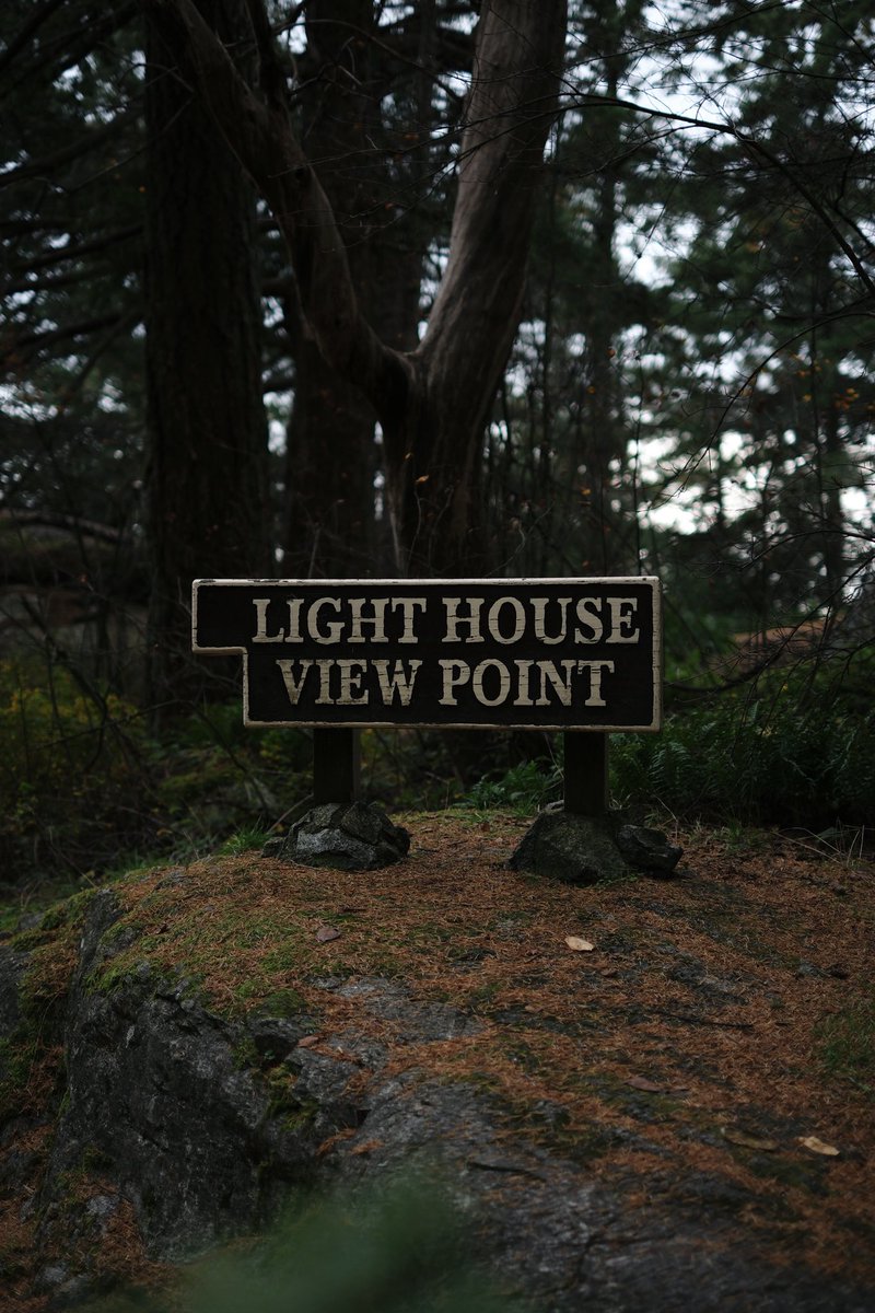 spravko's tweet image. 🌿