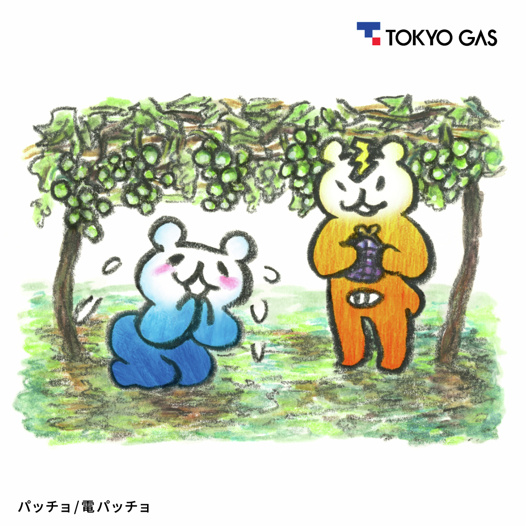 東京ガス グループ【公式】 (@tokyogas) / Posts / X