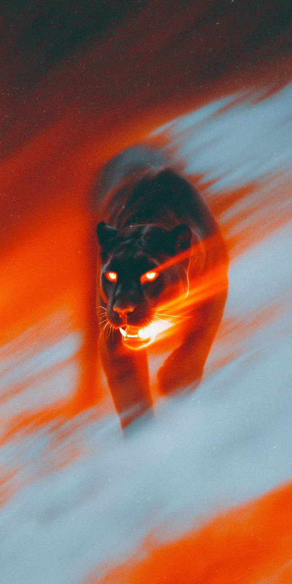 Artzchillect's tweet photo. https://t.co/sVVIq2dlvn