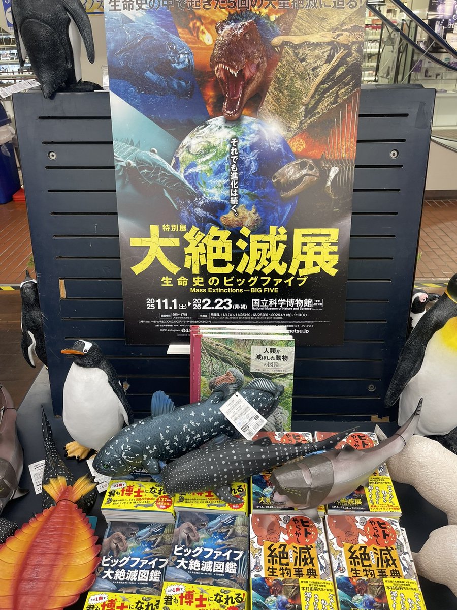 Futami_Official's tweet photo. 📚有隣堂藤沢店さんで開催中の「小さな絶滅展」に行ってきました!
二見書房の
『ビッグファイブ 大絶滅図鑑』
『だいたいヒトがやらかしました 絶滅生物事典』
をはじめ、絶滅生物に関する本がたくさん並んでいて、とても素敵な空間でした。
店頭企画をありがとうございます✨ https://t.co/viSNAEb0rA