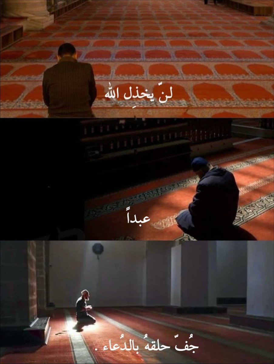 تاريخ وحضارة (@1il5i) on Twitter photo 