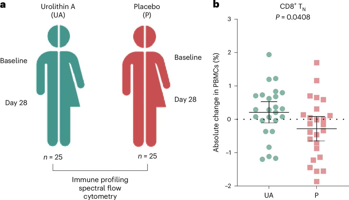 agingdoc1's tweet image. A natural compound revitalizes the aging human immune system

nature.com/articles/s4358…