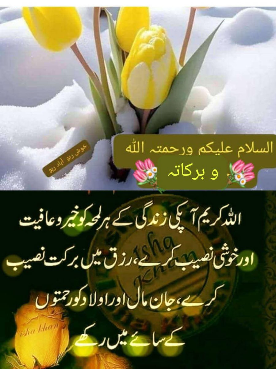 ZafarIqbal58 tweet media