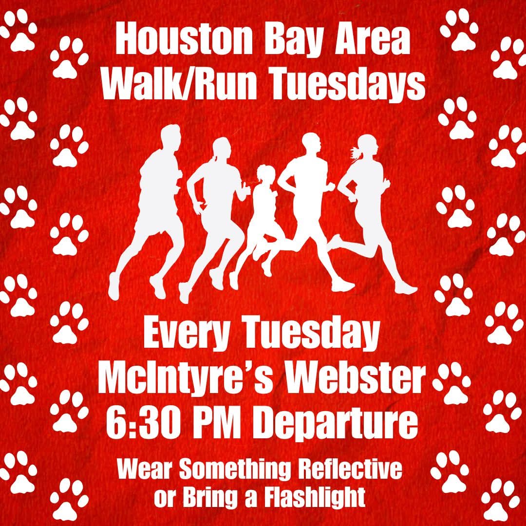 BayAreaCoogs's tweet image. @BayAreaCoogs, join us every Tuesday for a Walk/Run Club. We'll begin @ 6:30 pm. Wear something reflective or bring a flashlight. Go however far you'd like &amp;amp; when you return, get a free domestic beer. We start tomorrow. Let us know if you can make! #GoCoogs!
#Coogs #BayAreaCoogs