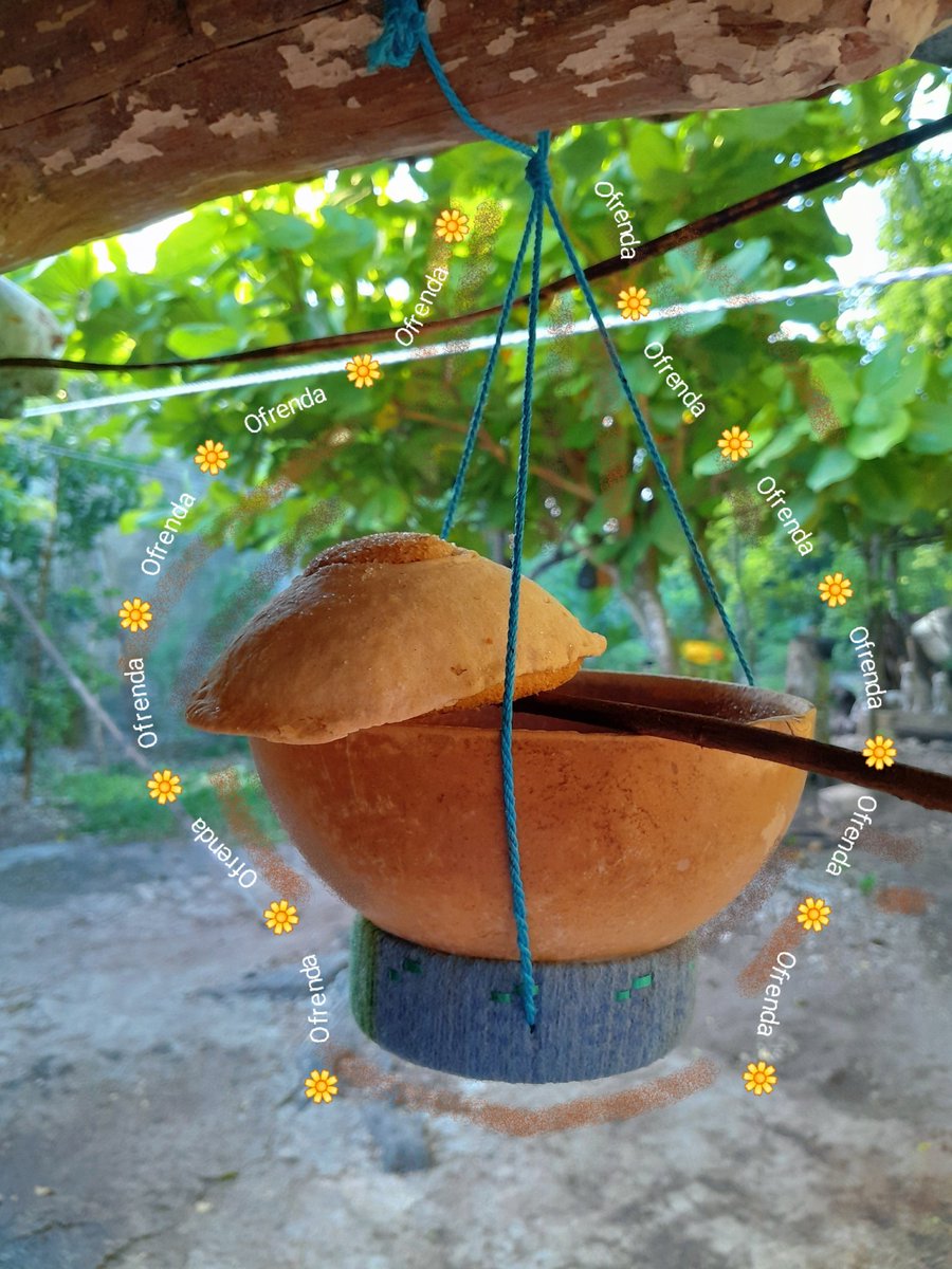 Día 2 usando X🍂🤍 como ✨️FotoDiario✨️🌷
#foto_turk #Otoño #Mexico #fotografia #life #Lifeofashowgirl