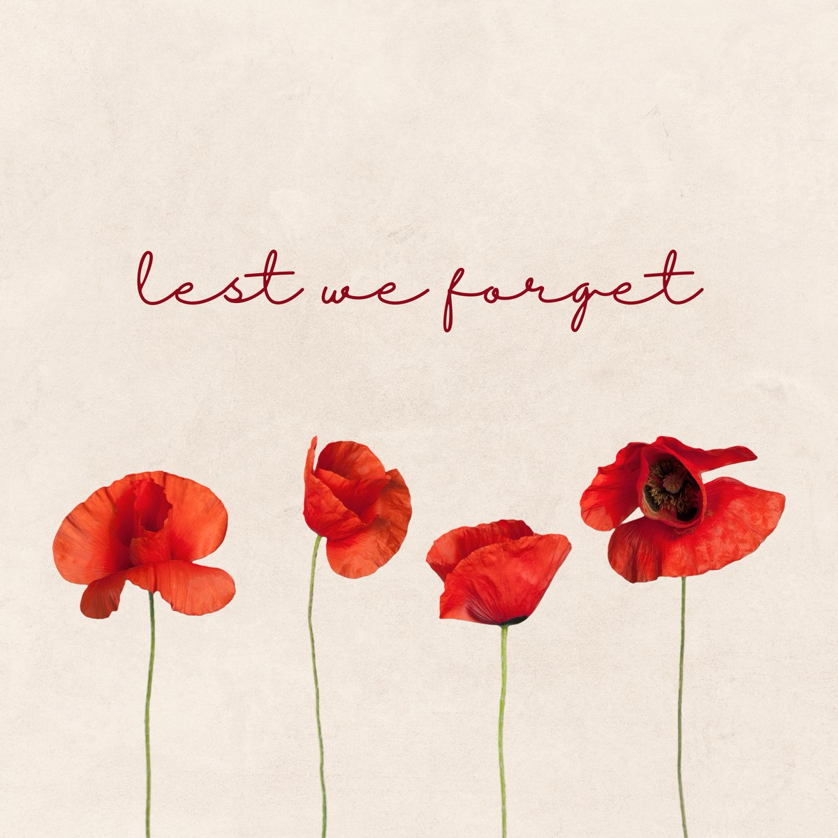 SenatorAntic's tweet photo. Lest We Forget. https://t.co/tJghMRkrLB
