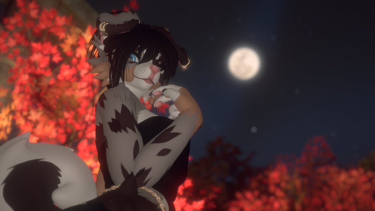 UniversalAngel_'s tweet image. admire me 🌕
📸 - @ReversedFall