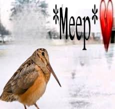 nickmo 💕 tweet media