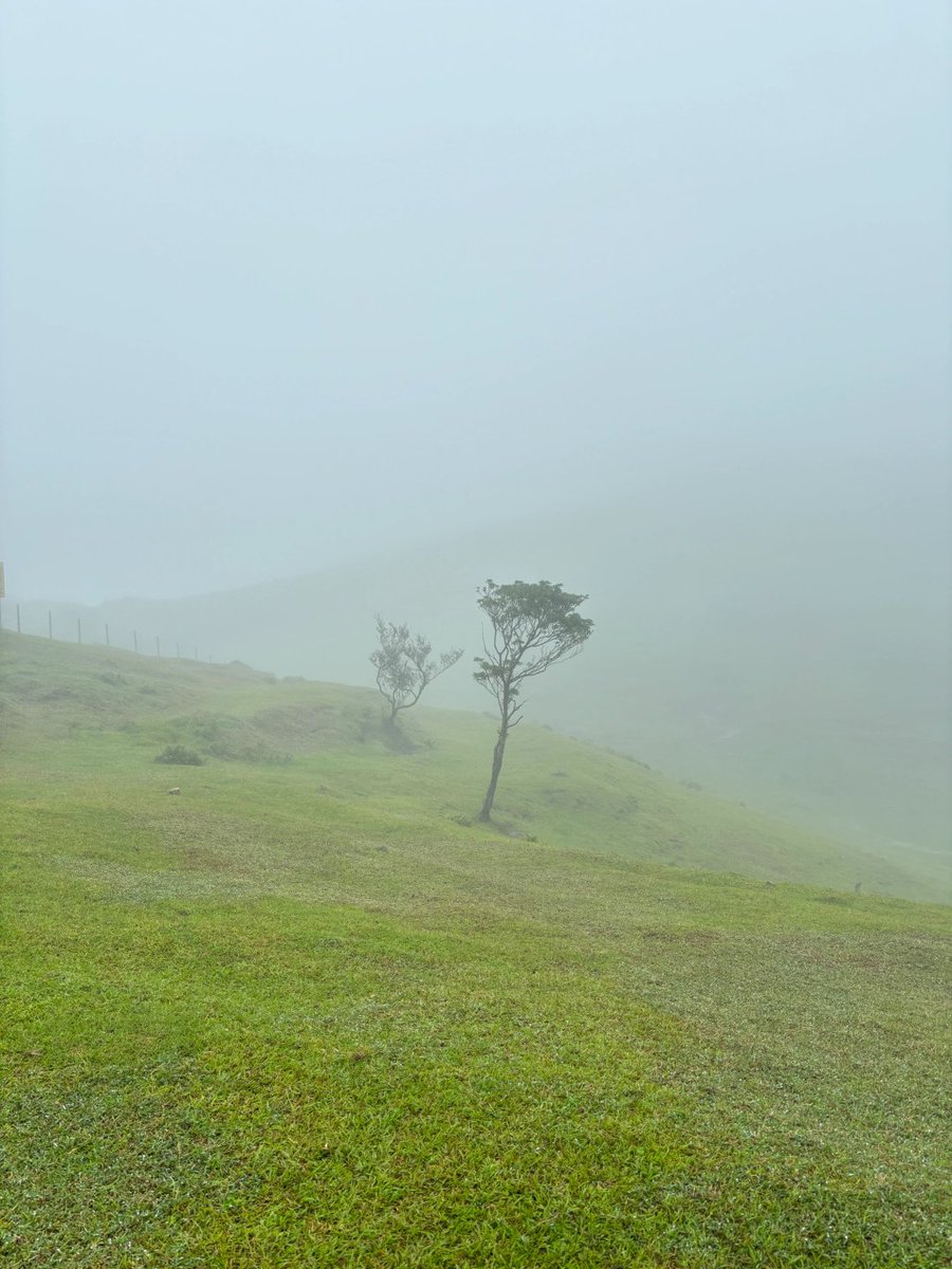 Rayvcallace's tweet image. 雨の降る観光地も、また独特の美しさがありますね