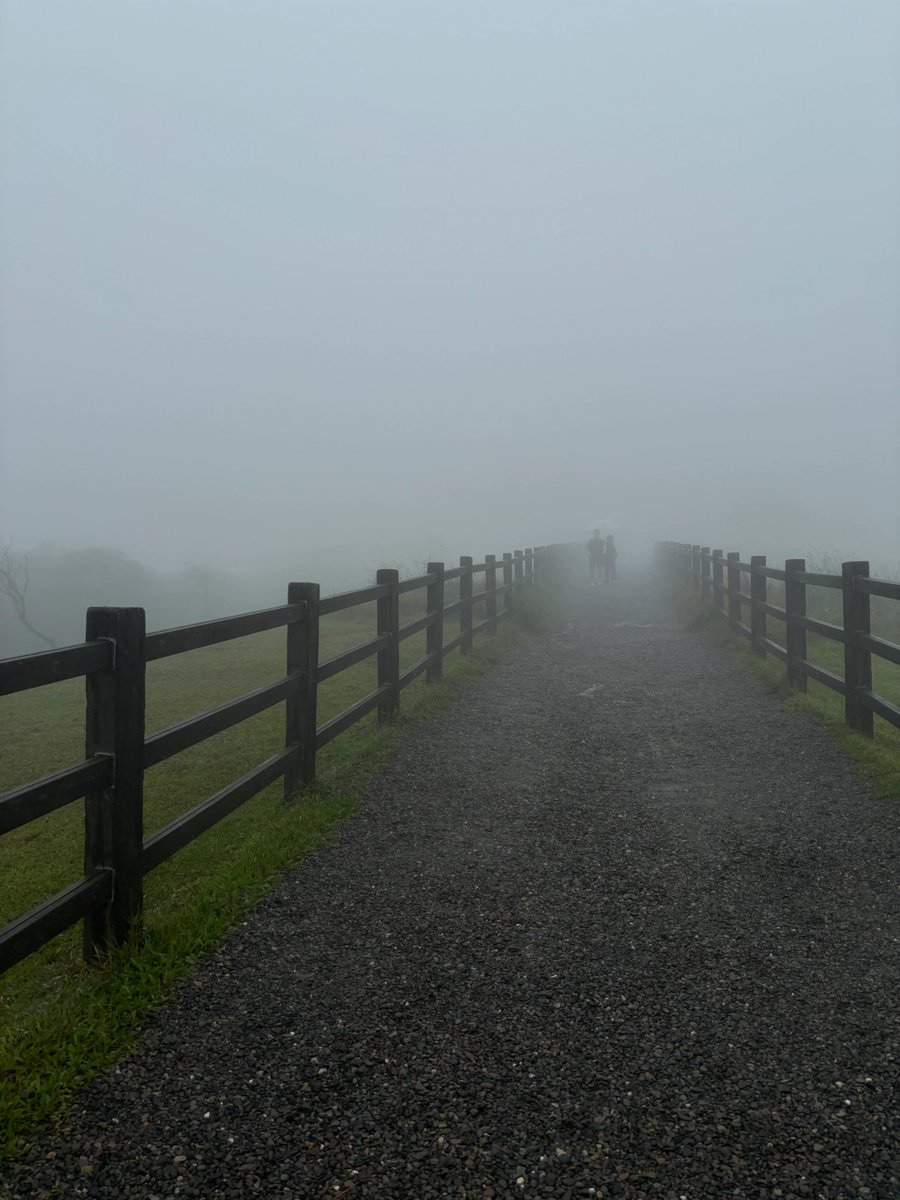 Rayvcallace's tweet image. 雨の降る観光地も、また独特の美しさがありますね