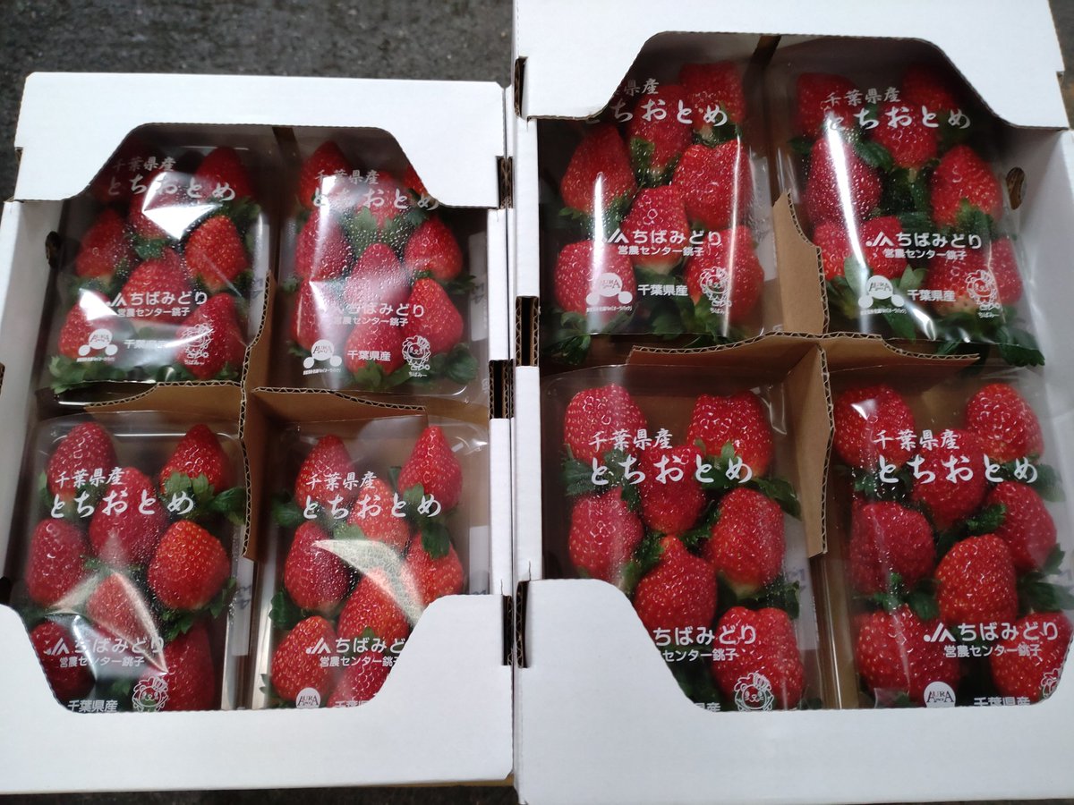 銚子の苺農家さんも収穫始まりました。今季は遅れての出荷になると聞いています。まだ本格的ではないので入荷日や量は未定。今日は20パック仕入れています。