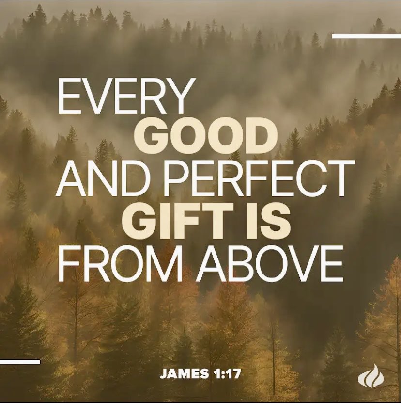 celticgal ✝️ (@short_loui70326) on Twitter photo 