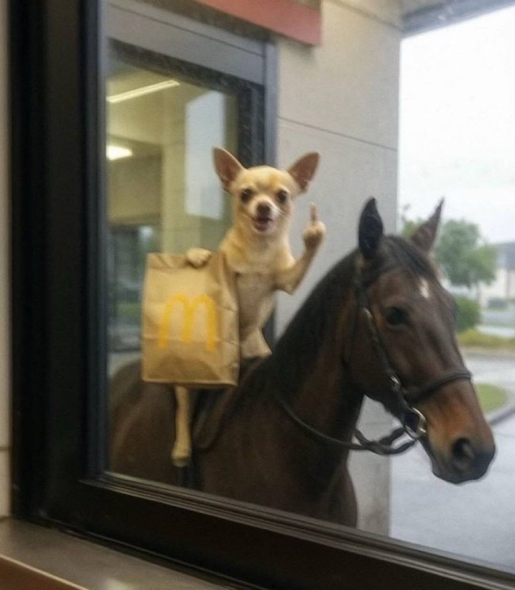 just put the fries in the bag G